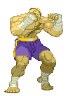 Sagat-stance