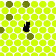 CATCH THE CAT jogo online gratuito em