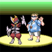 pokemon party randomizer